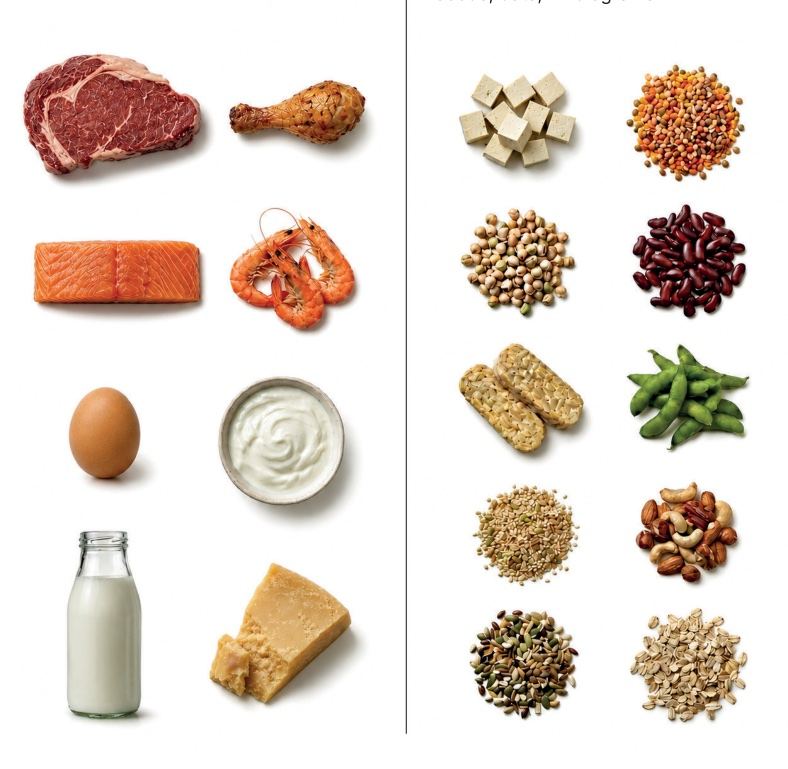 Animal protein sources — steak, chicken, salmon, prawns, egg, yoghurt, milk and cheese — beside plant sources: tofu, lentils, chickpeas, kidney beans, tempeh, edamame, seeds, nuts and oats.